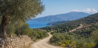 Μεγάλη χρηματοδότηση περίπου 6 εκατ. ευρώ για έργα αγροτικής οδοποιίας στην Κεφαλονιά
