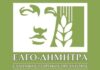 Ανώτερη Επαγγελματική Εκπαίδευση στις Σχολές του ΕΛΓΟ – ΔΗΜΗΤΡΑ: Εγγραφές από 13/07